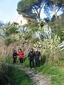 Levanto-Framura 2-12-2008 008